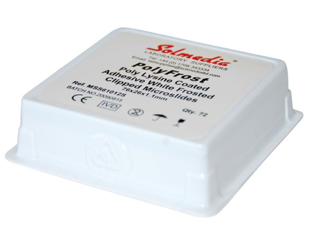 Poly-L-Lysine Coated Slides